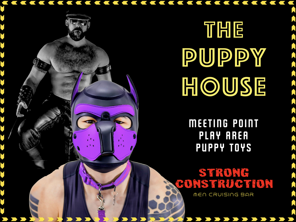 The Puppy House - Strong Construction